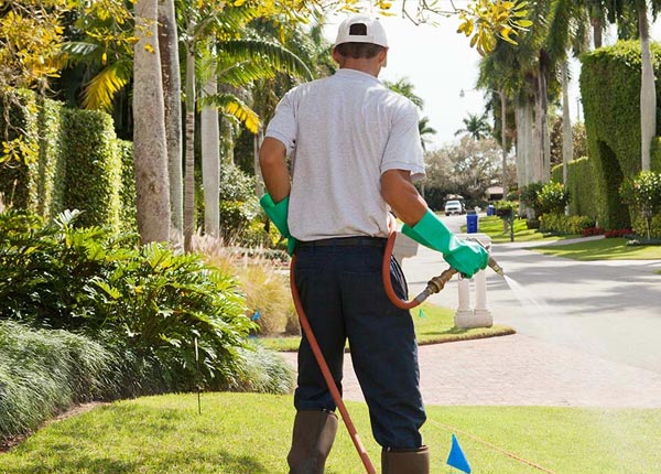 About Valley Stream NY Pest Control